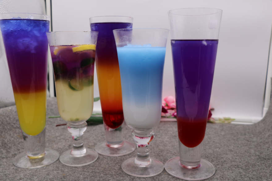 南宁泰国蝶豆花培训